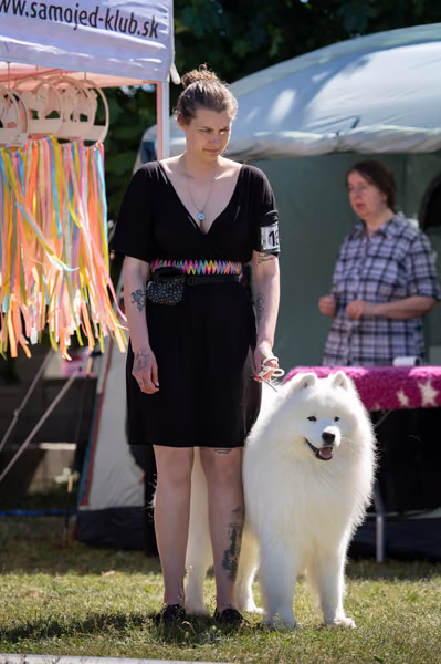 Samojed klub SK – 8. května 2026