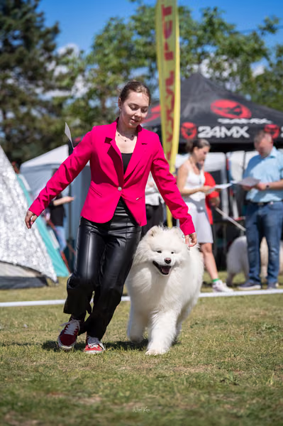 Samojed klub SK – 8. května 2026