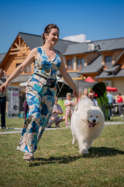 Samojed klub SK – 8. května 2026