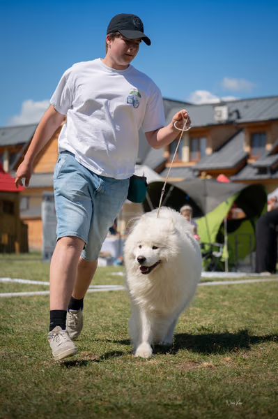Samojed klub SK – 8. května 2026
