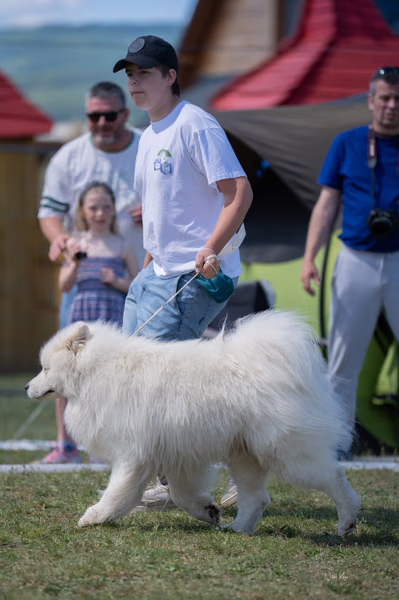 Samojed klub SK – 8. května 2026