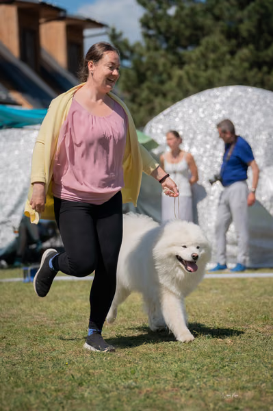Samojed klub SK – 8. května 2026