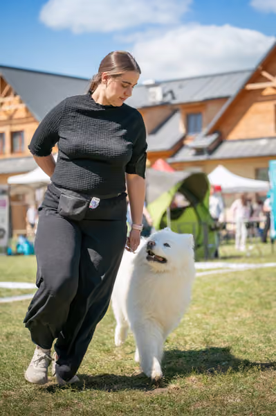 Samojed klub SK – Honor