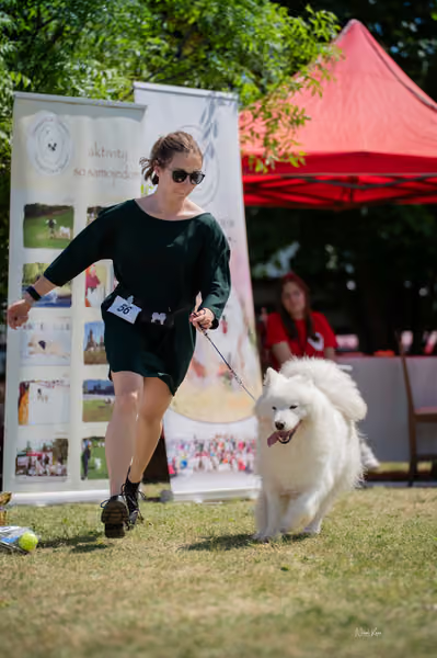 Samojed klub SK – Open