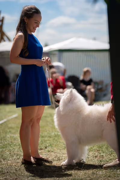 Samojed klub SK – Open