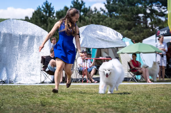 Samojed klub SK – Open