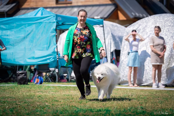 Samojed Klub SK – 9. května 2026