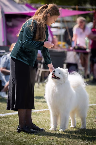 Samojed Klub SK – 9. května 2026