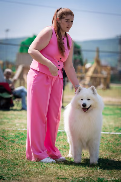 Samojed Klub SK – 9. května 2026