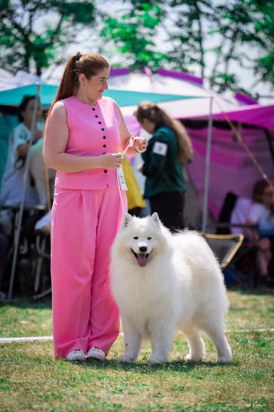 Samojed Klub SK – 9. května 2026