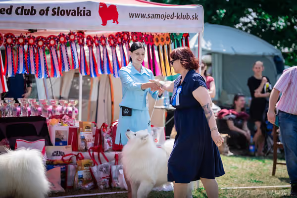 Samojed Klub SK – 9. května 2026