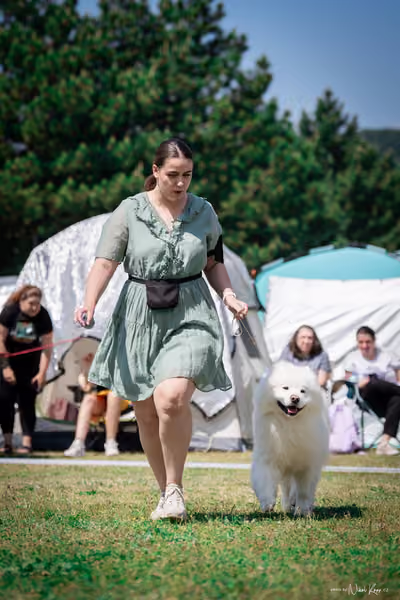 Samojed Klub SK – 9. května 2026