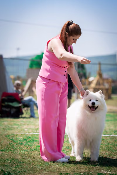Samojed Klub SK – 9. května 2026