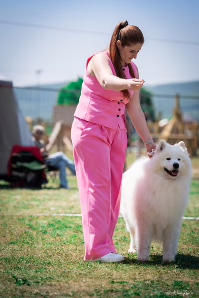 Samojed Klub SK – 9. května 2026