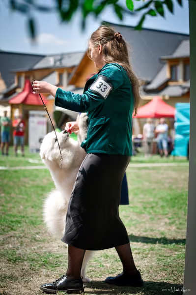 Samojed Klub SK – 9. května 2026