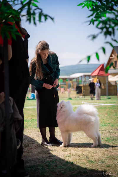 Samojed Klub SK – 9. května 2026