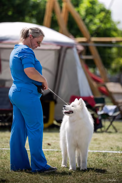 Samojed Klub SK – 9. května 2026