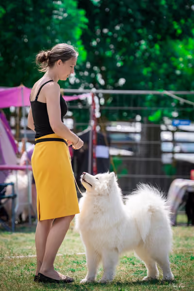 Samojed Klub SK – 9. května 2026