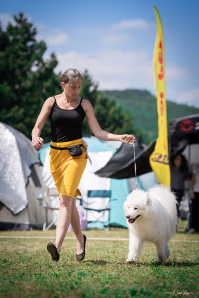 Samojed Klub SK – 9. května 2026