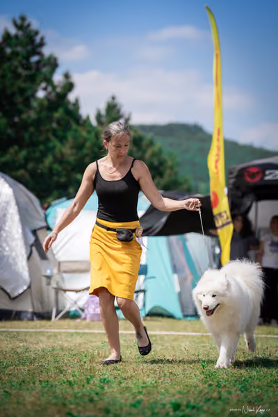 Samojed Klub SK – 9. května 2026