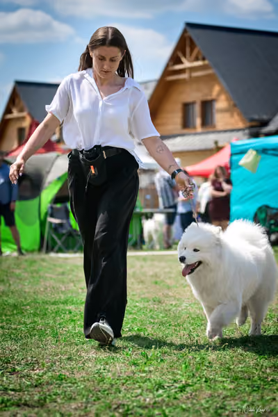 Samojed Klub SK – 9. května 2026