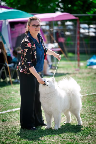 Samojed Klub SK – 9. května 2026