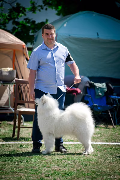 Samojed Klub SK – 9. května 2026