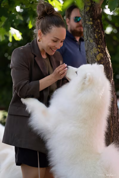 Samojed Klub SK – 9. května 2026