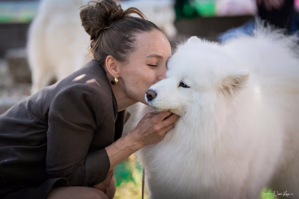 Samojed Klub SK – 9. května 2026