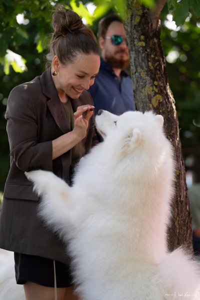 Samojed Klub SK – 9. května 2026