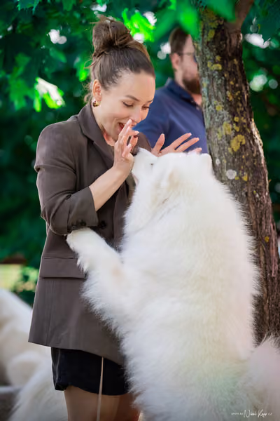 Samojed Klub SK – 9. května 2026