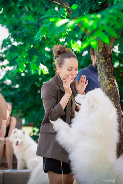 Samojed Klub SK – 9. května 2026