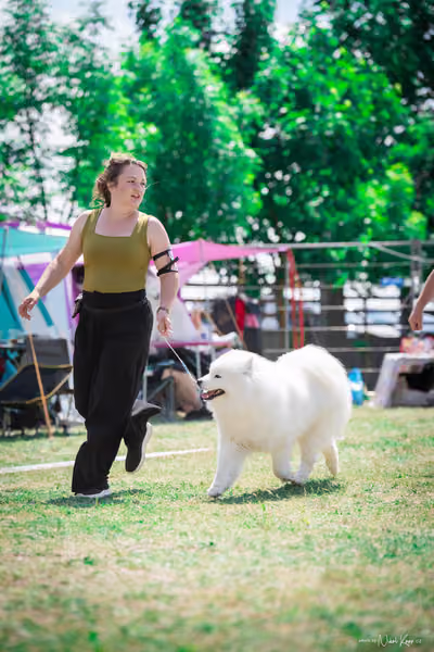 Samojed Klub SK – 9. května 2026