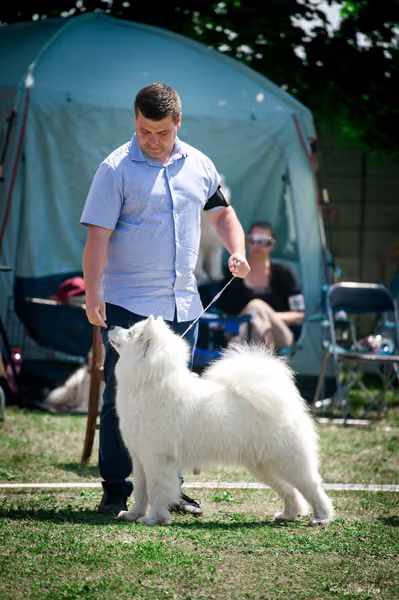 Samojed Klub SK – 9. května 2026