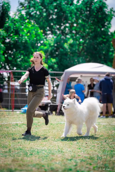 Samojed Klub SK – 9. května 2026