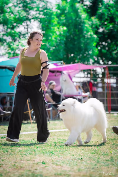 Samojed Klub SK – 9. května 2026