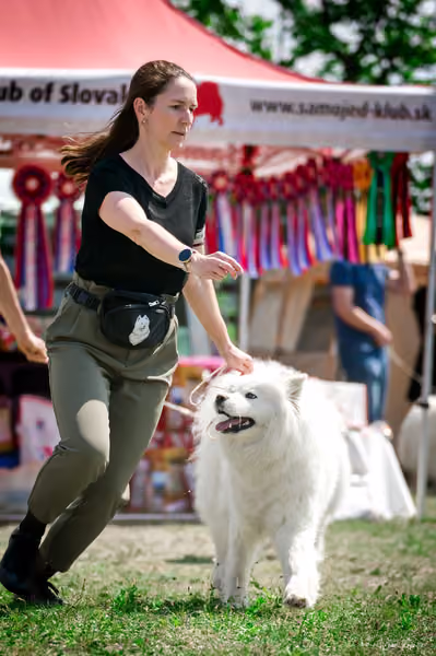 Samojed Klub SK – 9. května 2026