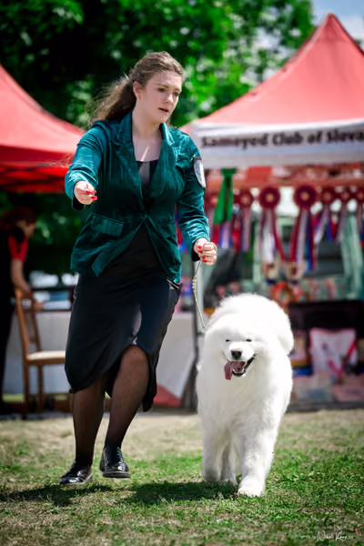 Samojed Klub SK – 9. května 2026