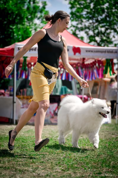 Samojed Klub SK – 9. května 2026