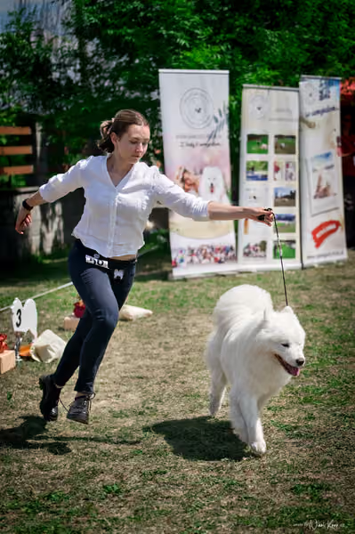 Samojed Klub SK – 9. května 2026