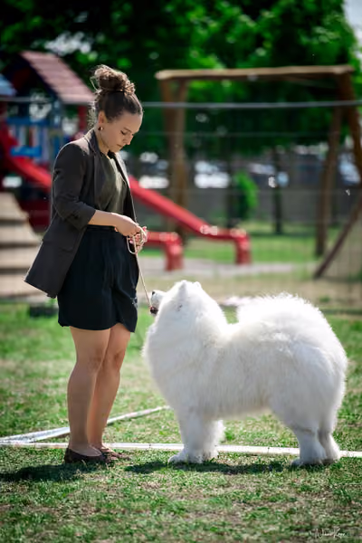 Samojed Klub SK – 9. května 2026