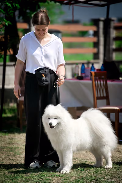 Samojed Klub SK – 9. května 2026