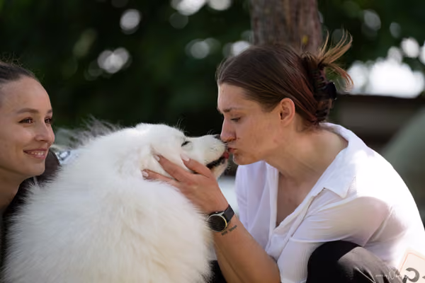 Samojed Klub SK – 9. května 2026