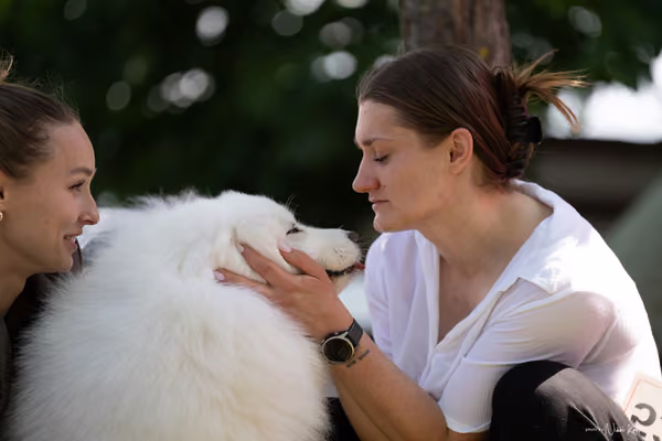 Samojed Klub SK – 9. května 2026