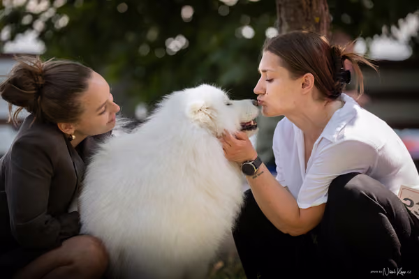 Samojed Klub SK – 9. května 2026
