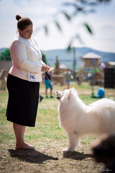 Samojed Klub SK – 9. května 2026
