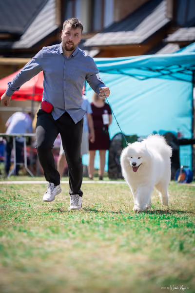 Samojed Klub SK – 9. května 2026