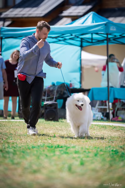Samojed Klub SK – 9. května 2026