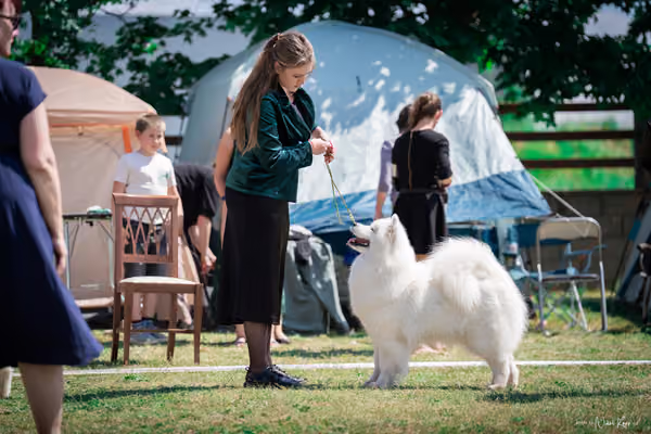 Samojed Klub SK – 9. května 2026