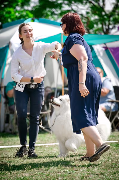 Samojed Klub SK – 9. května 2026